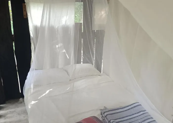 Zapote En Rancho Jaguares Jungle Retreat Camping