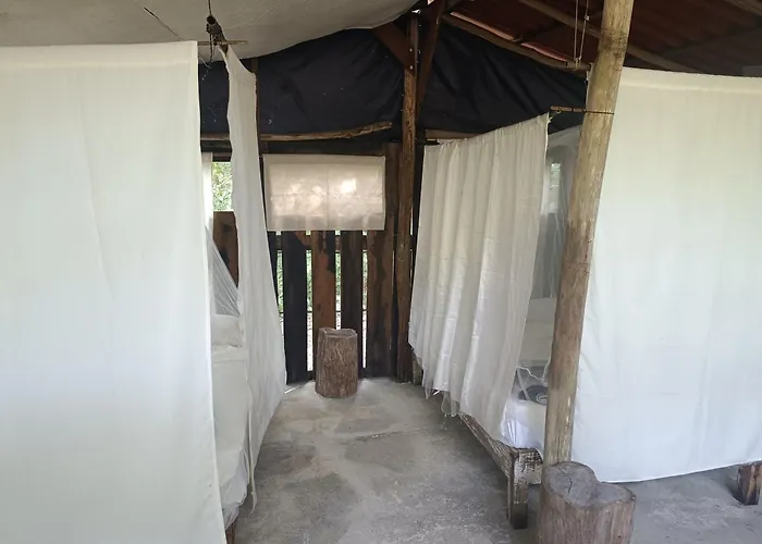 Zapote En Rancho Jaguares Jungle Retreat Camping *