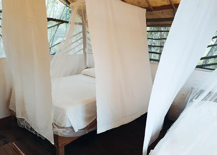 Camping Zapote En Rancho Jaguares Jungle Retreat *