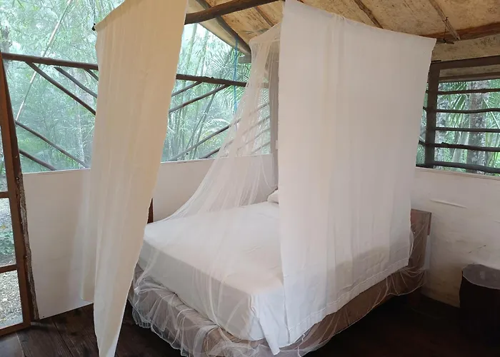 Camping Zapote En Rancho Jaguares Jungle Retreat Tulum