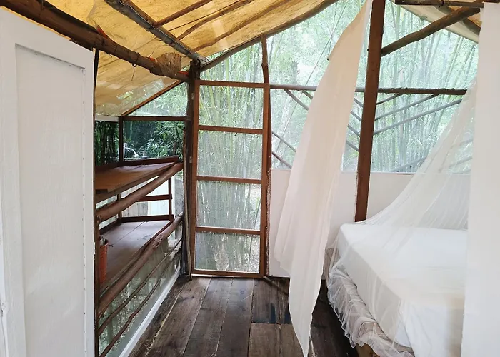 Zapote En Rancho Jaguares Jungle Retreat *