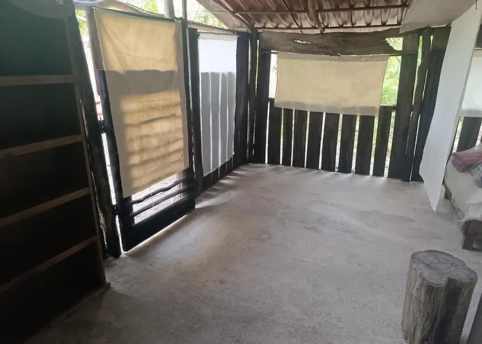 Zapote En Rancho Jaguares Jungle Retreat Camping