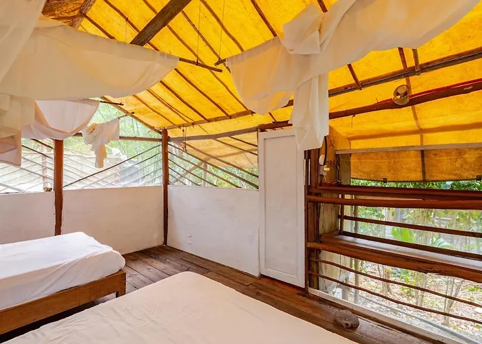 Zapote En Rancho Jaguares Jungle Retreat Camping Tulum