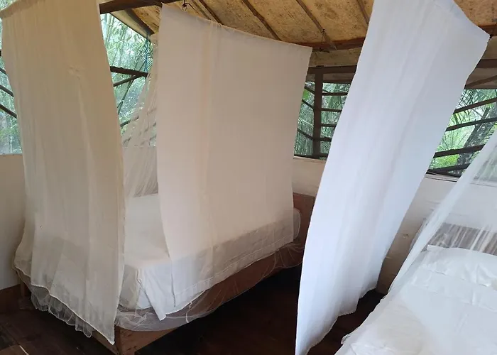 Camping Zapote En Rancho Jaguares Jungle Retreat *