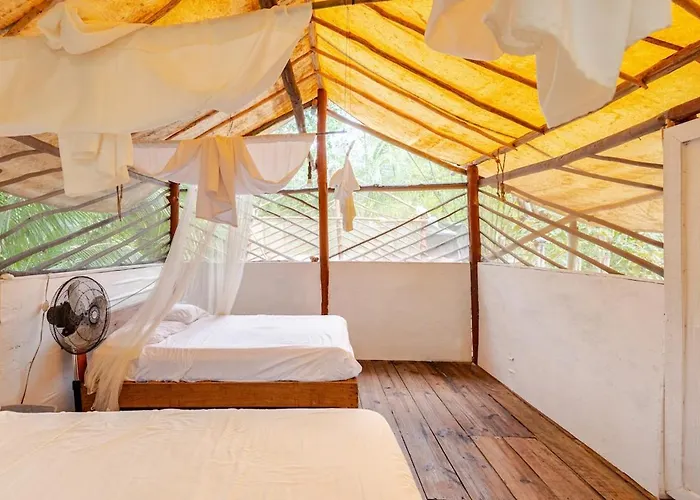 Zapote En Rancho Jaguares Jungle Retreat Camping Tulum