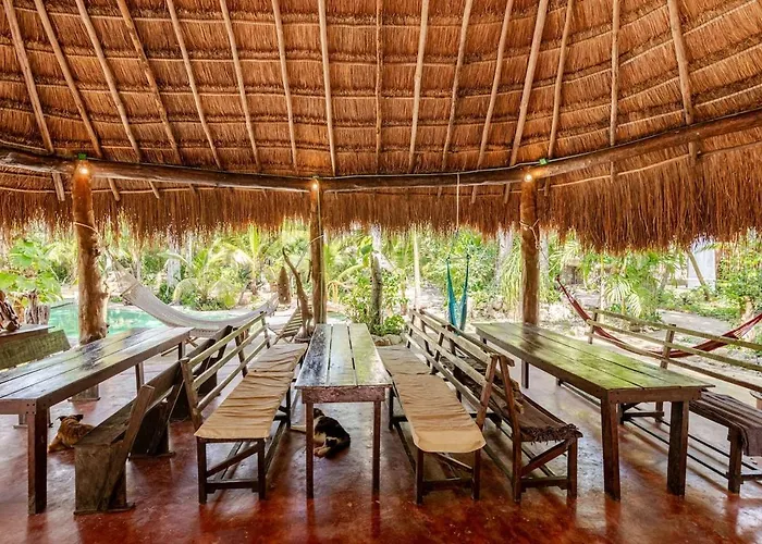 Camping Zapote En Rancho Jaguares Jungle Retreat Tulum