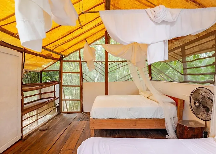 Zapote En Rancho Jaguares Jungle Retreat