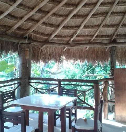 Zapote En Rancho Jaguares Jungle Retreat Camping Tulum