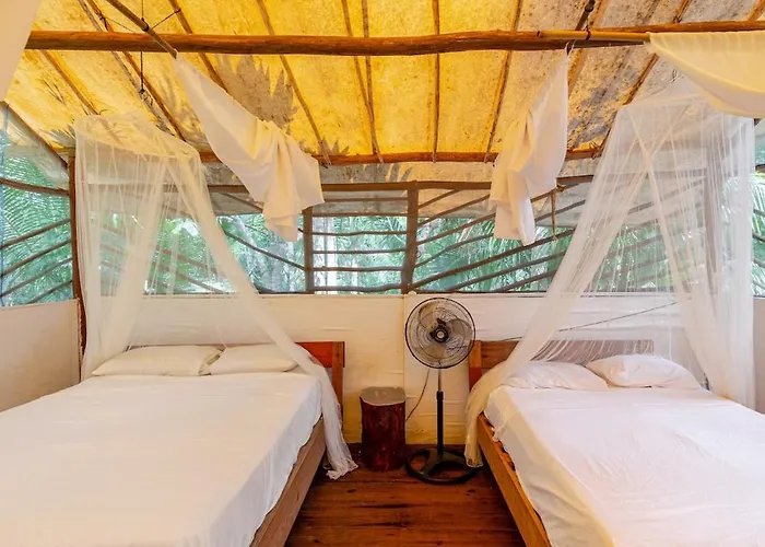 Camping Zapote En Rancho Jaguares Jungle Retreat