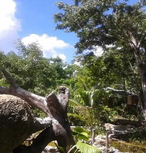Zapote En Rancho Jaguares Jungle Retreat Camping Tulum