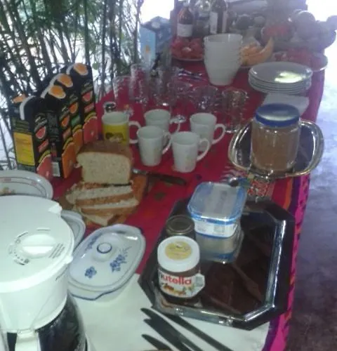 Camping Zapote En Rancho Jaguares Jungle Retreat Tulum