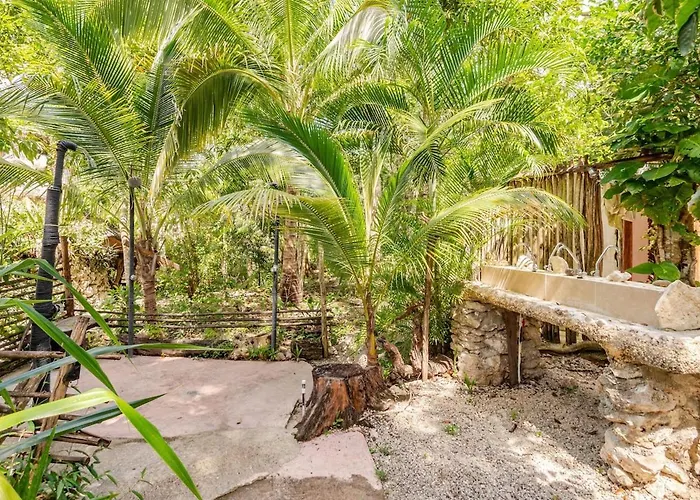 Zapote En Rancho Jaguares Jungle Retreat Camping Tulum