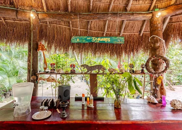 Zapote En Rancho Jaguares Jungle Retreat Camping