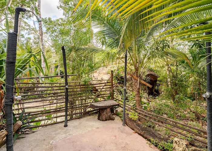 Zapote En Rancho Jaguares Jungle Retreat Tulum