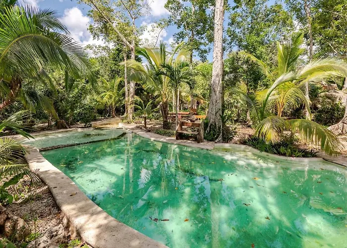 Camping Zapote En Rancho Jaguares Jungle Retreat *