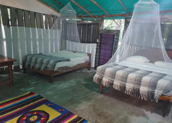 Zapote En Rancho Jaguares Jungle Retreat Camping Tulum