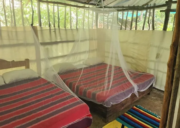 Camping Zapote En Rancho Jaguares Jungle Retreat